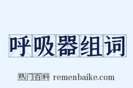 呼吸器组词是什么意思的图片